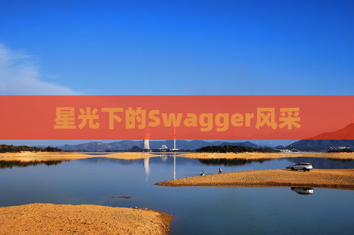 星光下的Swagger风采